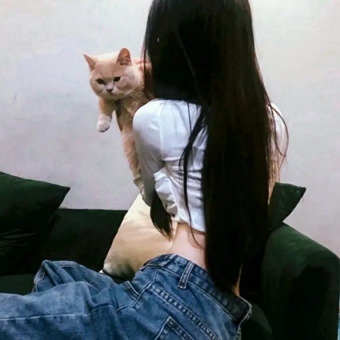 静止点